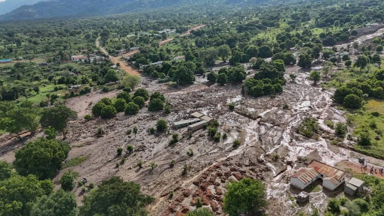 WhatsApp Image 2025-11-13 at 3.08